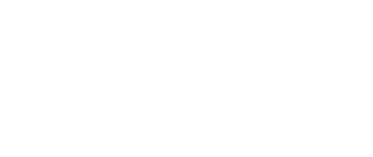 logo white terme felsinee